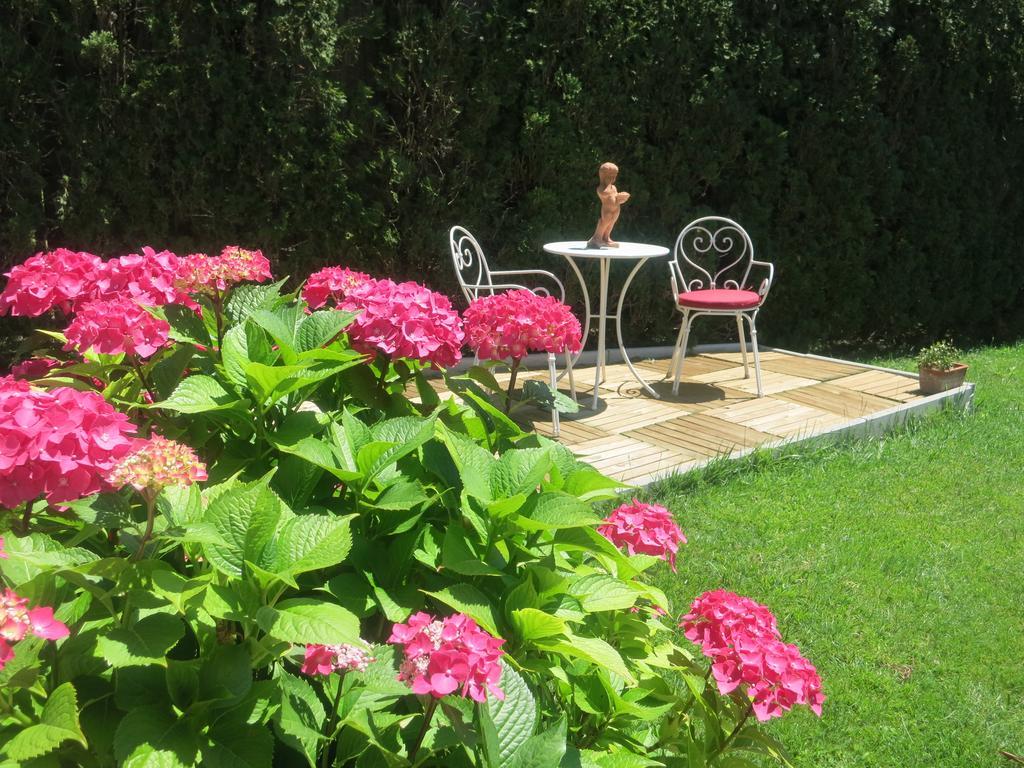 Residence Volkmar 포스탈 객실 사진